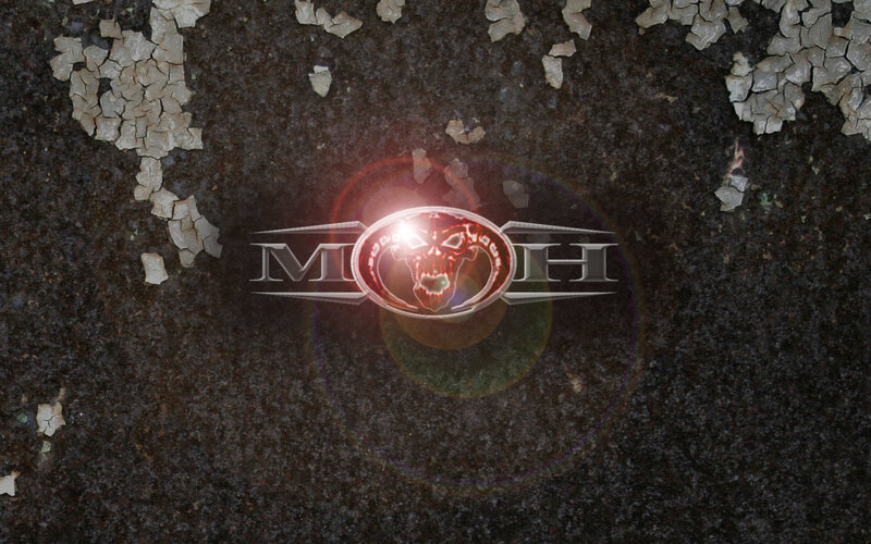 Skull Logo on Cracked Surface