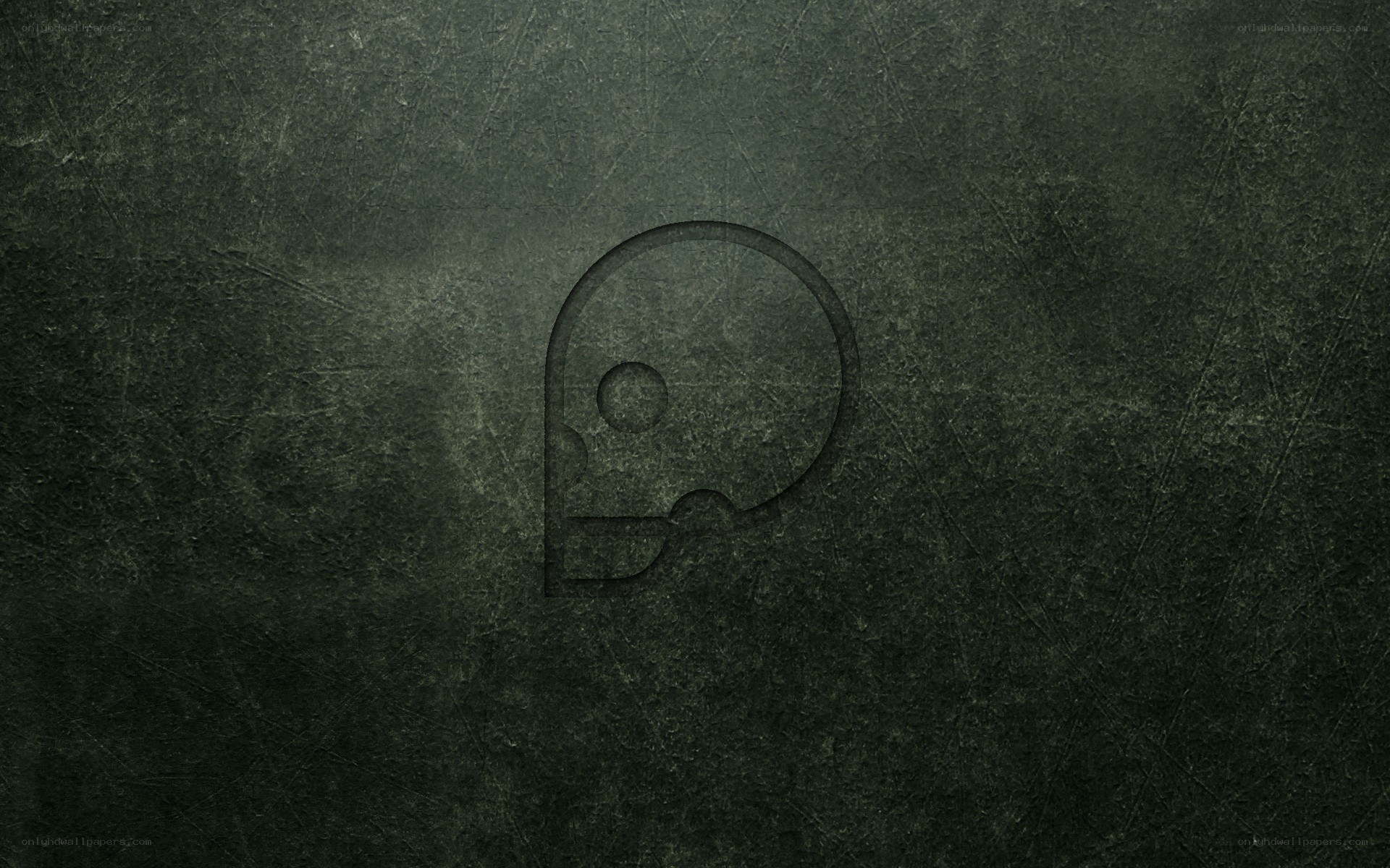 skull logo on dark texture