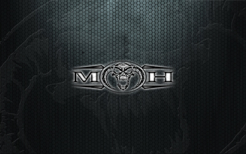 Skull Logo on Mesh