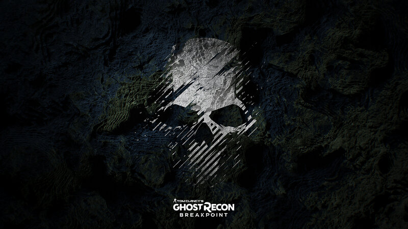 Skull Logo on Rock