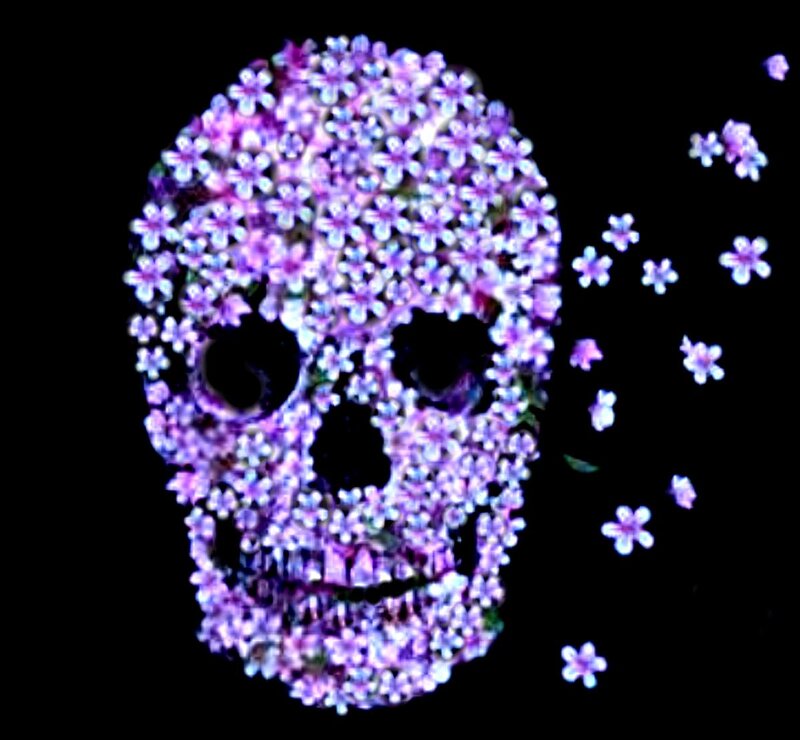 Skull Made of Flowers — Purple
