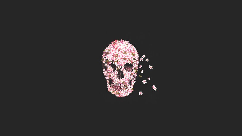 Skull Made of Flowers