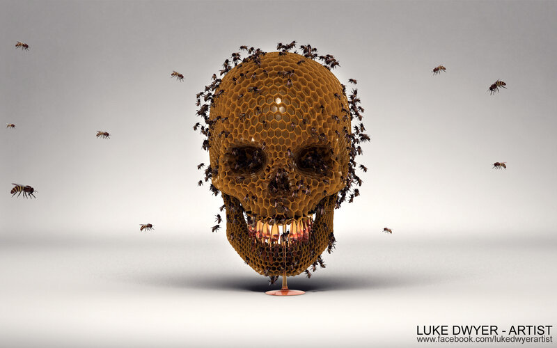 Skull Made of Honeycomb