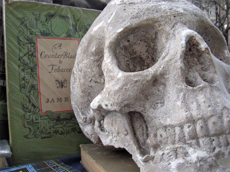 Skull next to book