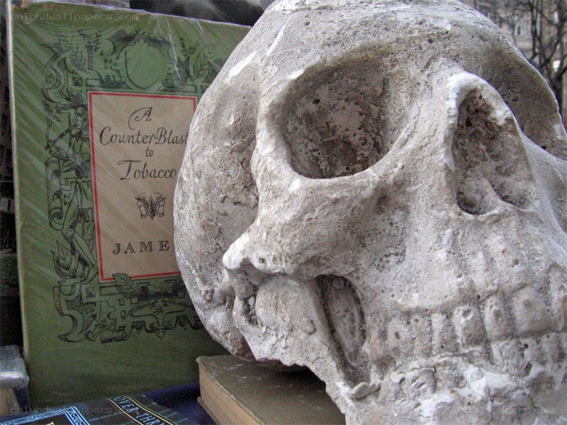 Skull next to book