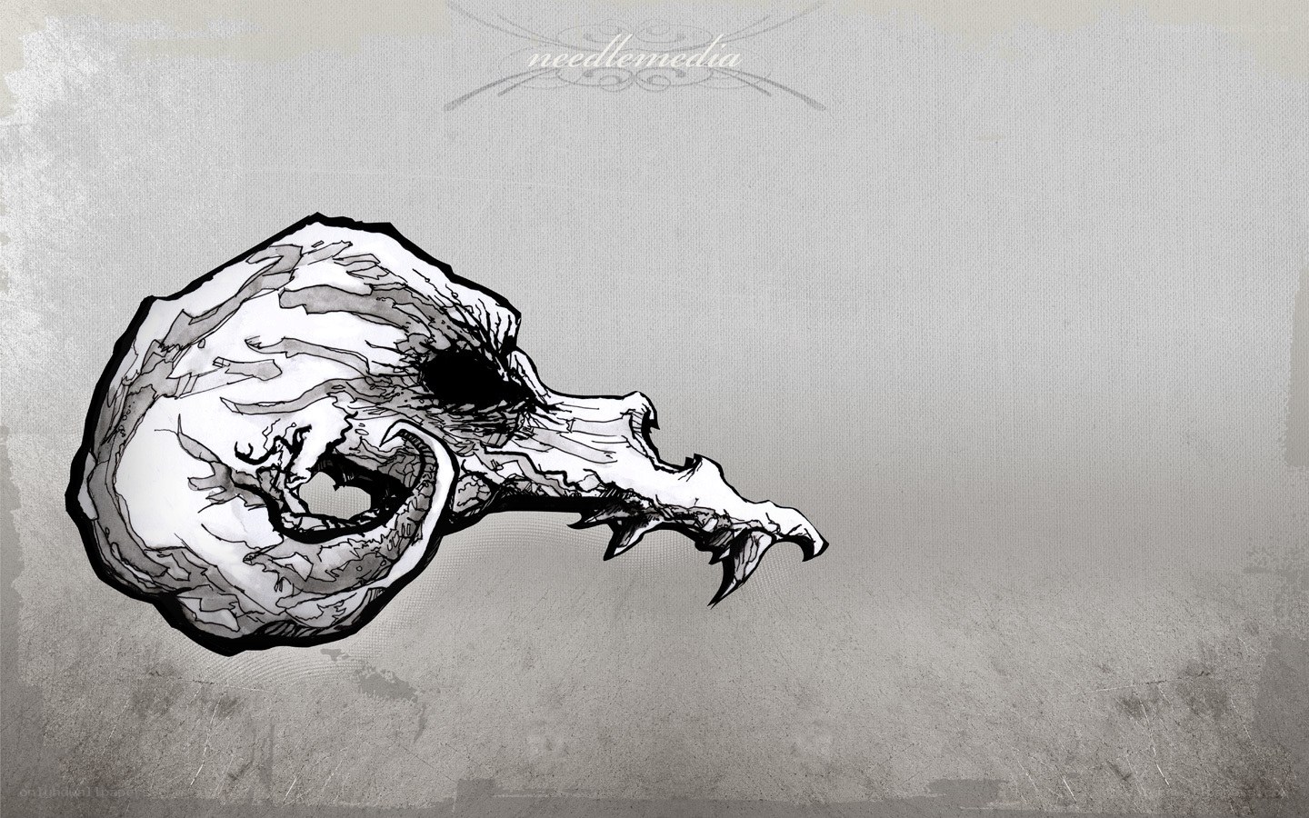 skull of a bird