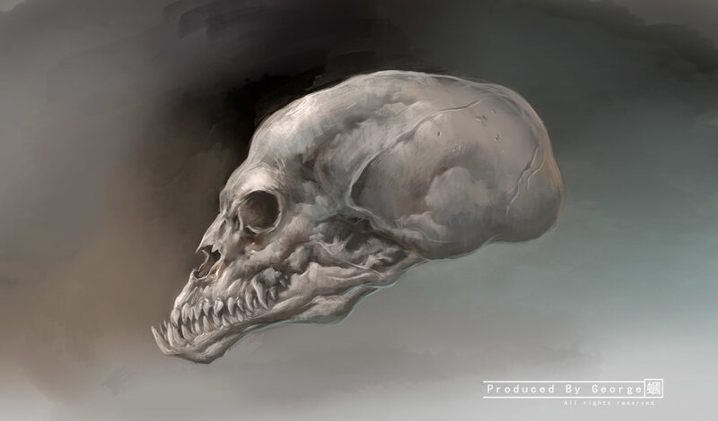 Skull of a Creature