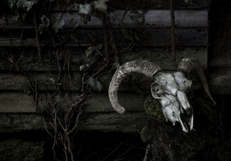 Skull on a mossy wall