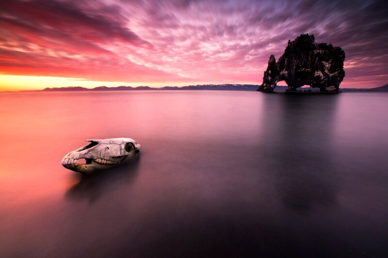 Skull on beach at sunset