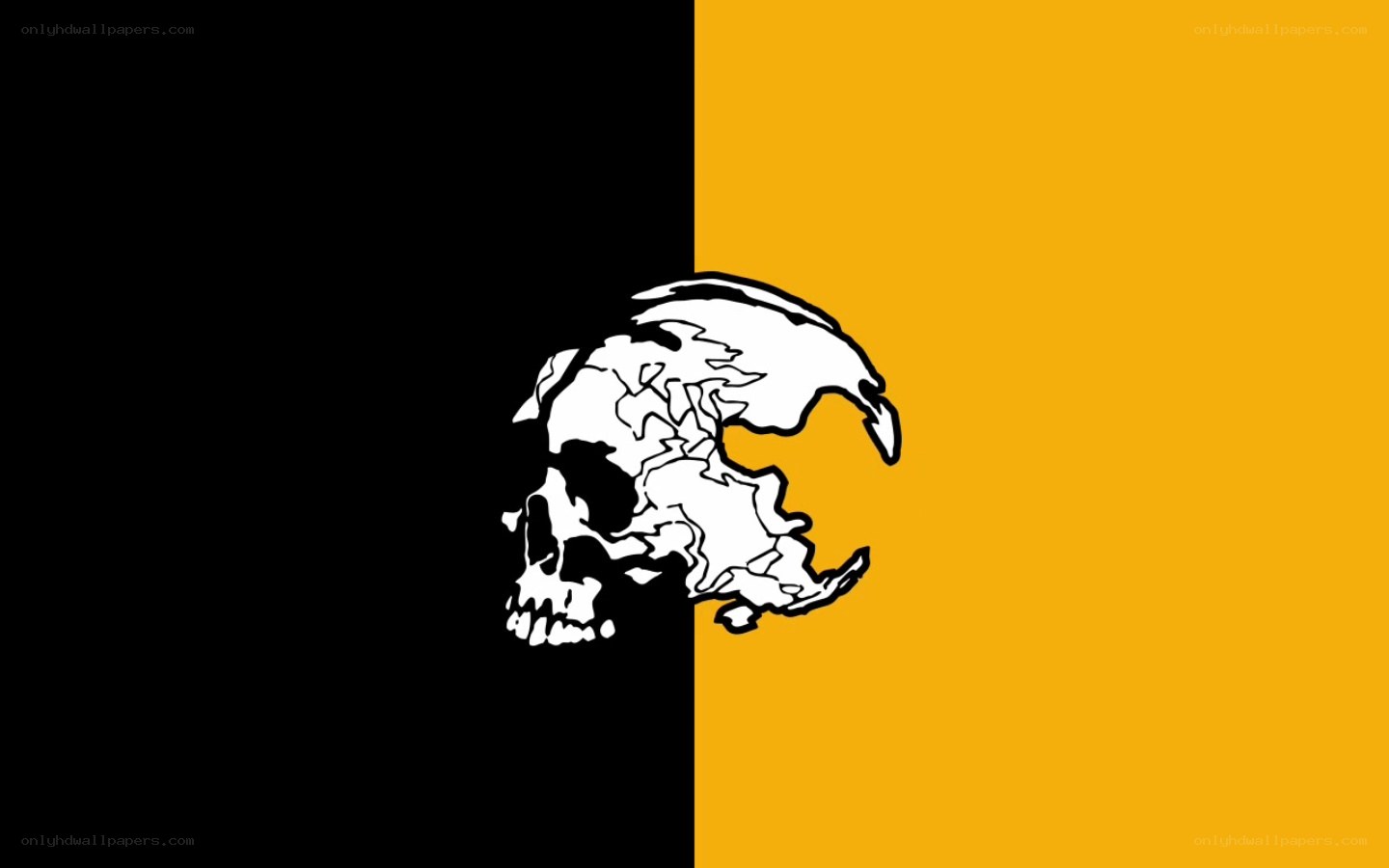skull on black and yellow background