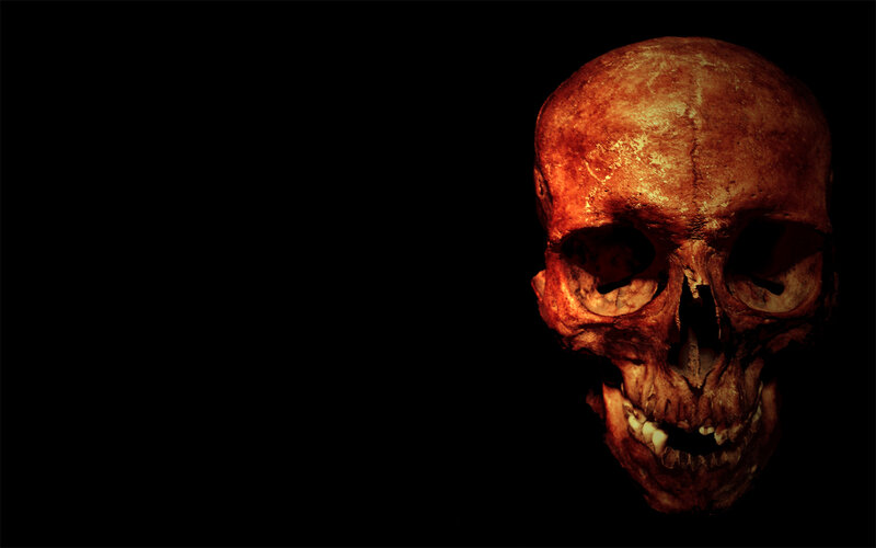 skull on black background