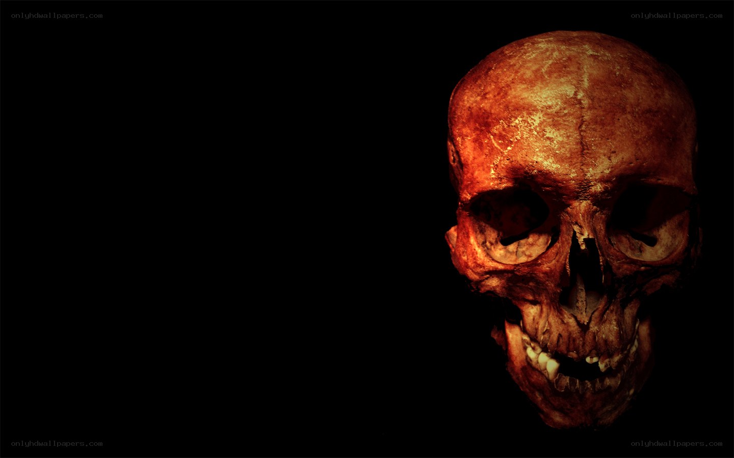 skull on black background