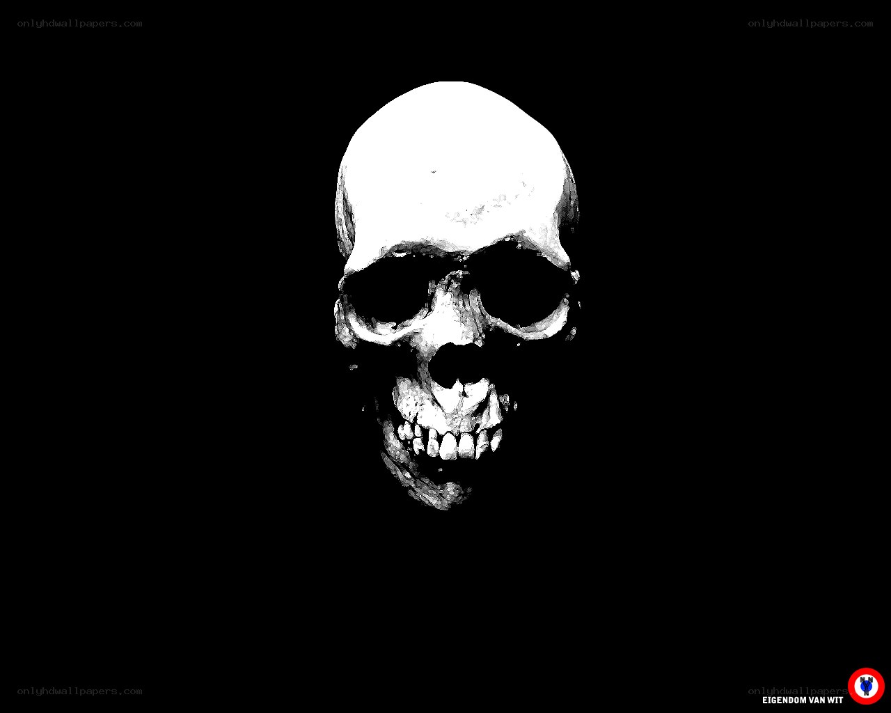 skull on black background