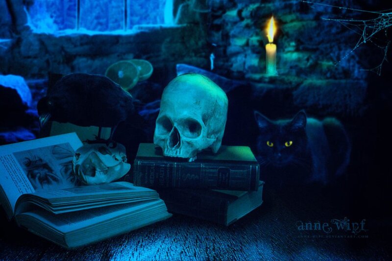 Skull on Books — Blue