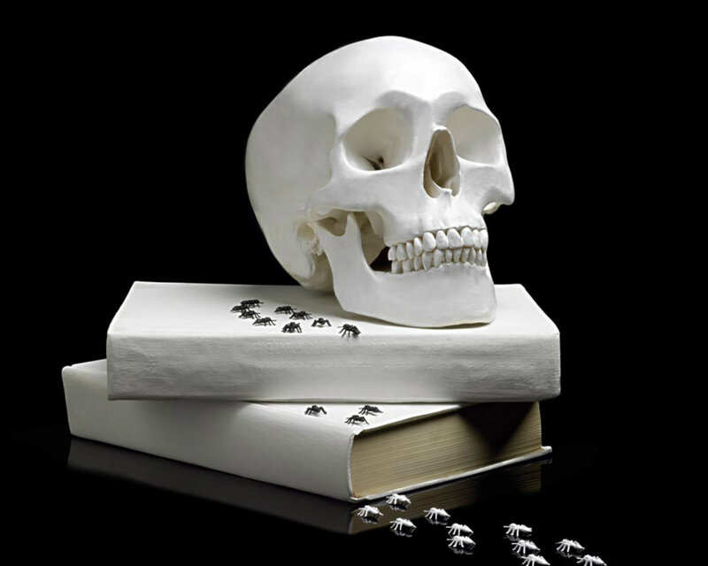 Skull on Books — White