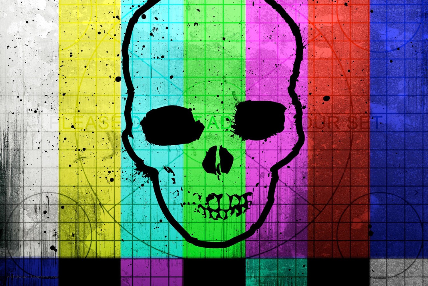 Skull on color bars