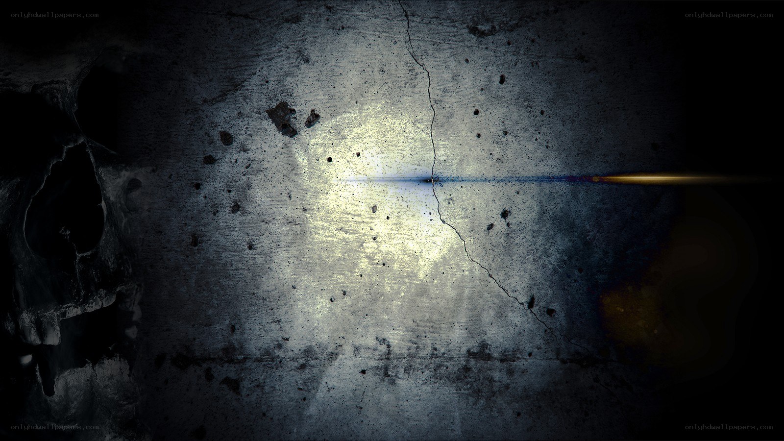 skull on cracked concrete