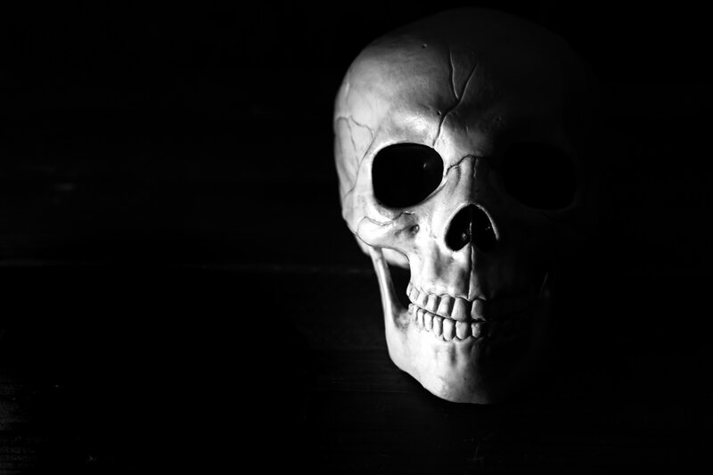 Skull on Dark Surface