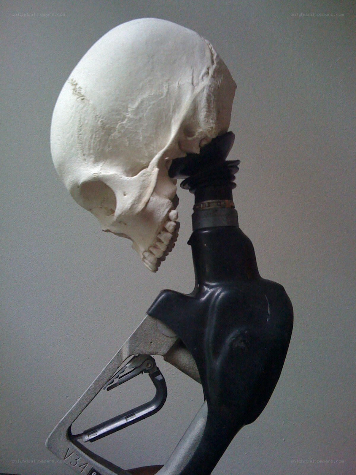 skull on fuel pump nozzle