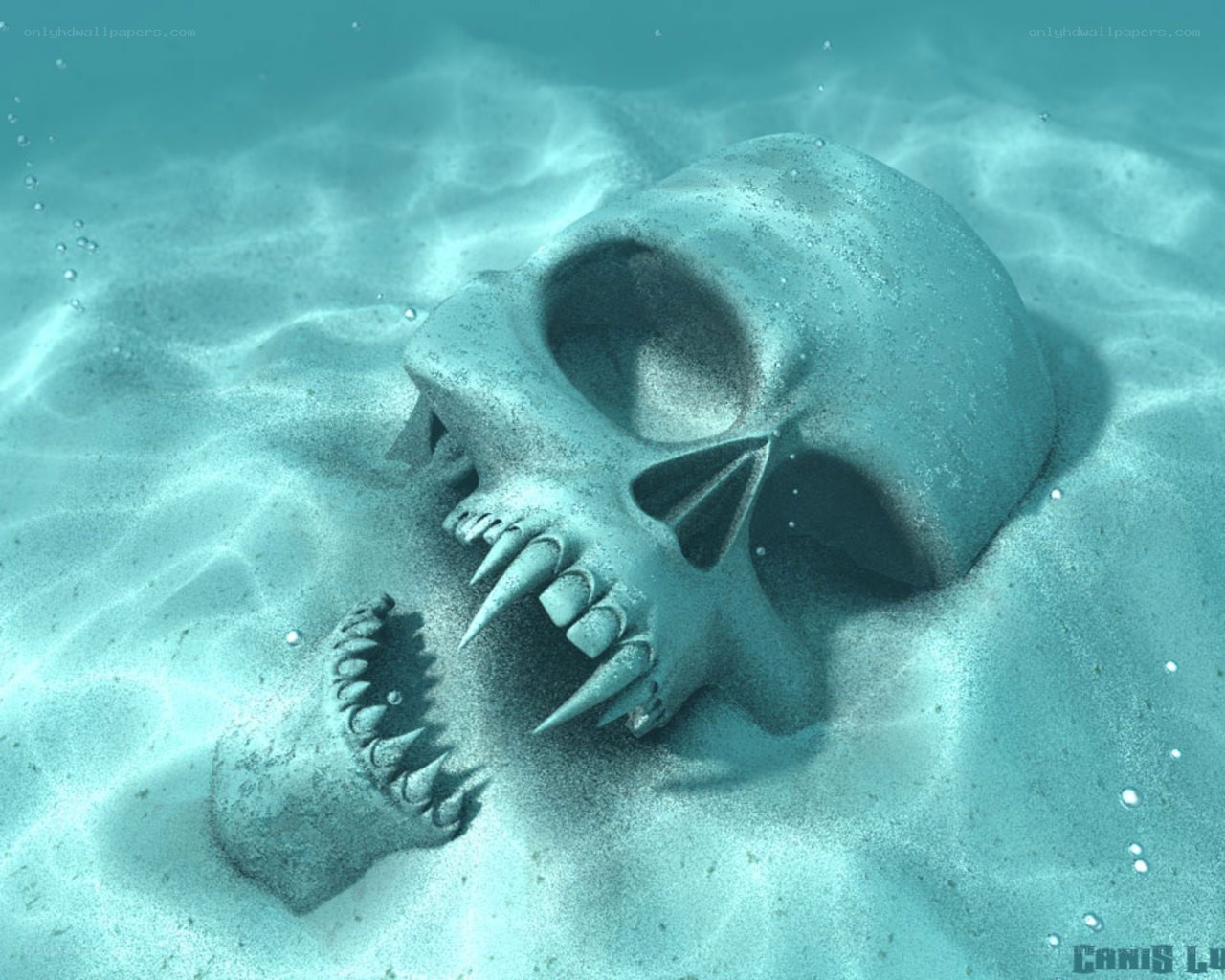 Skull on ocean floor