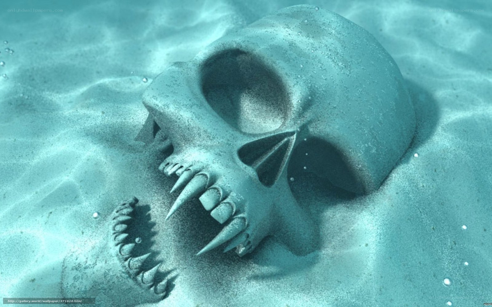 Skull on ocean floor