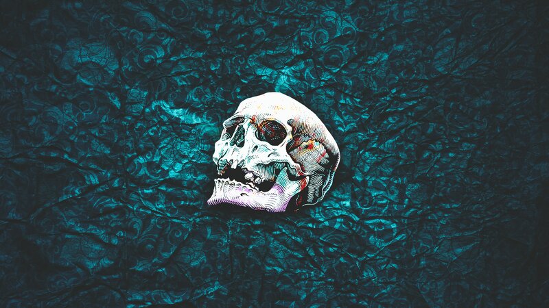 Skull on Patterned Surface