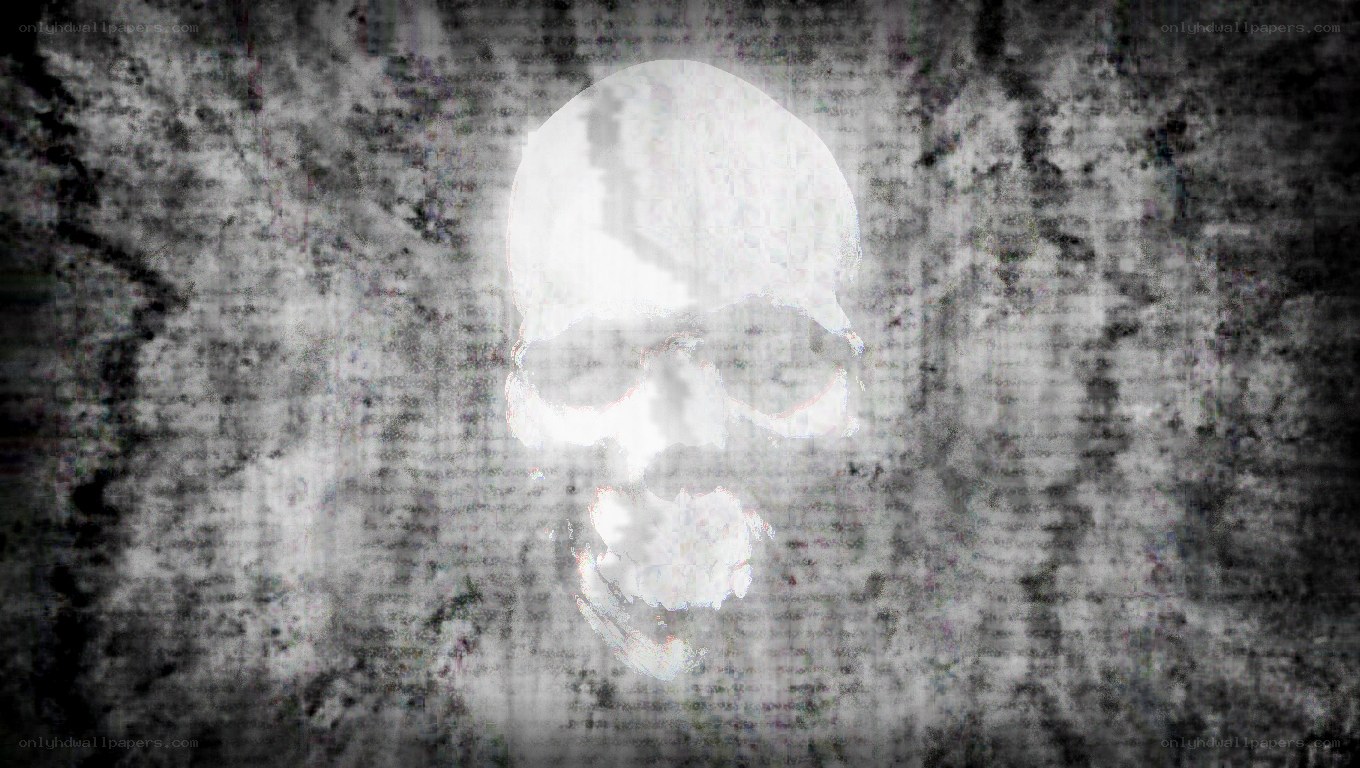 skull on textured background