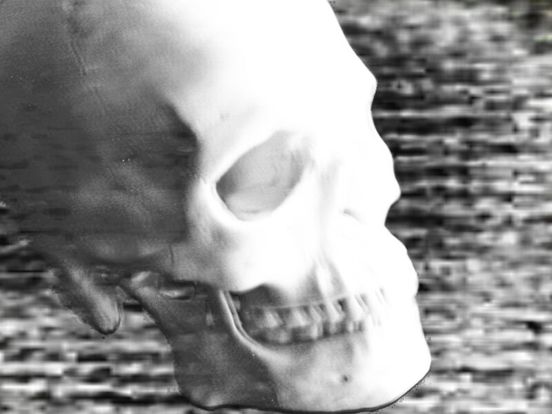 skull on textured surface