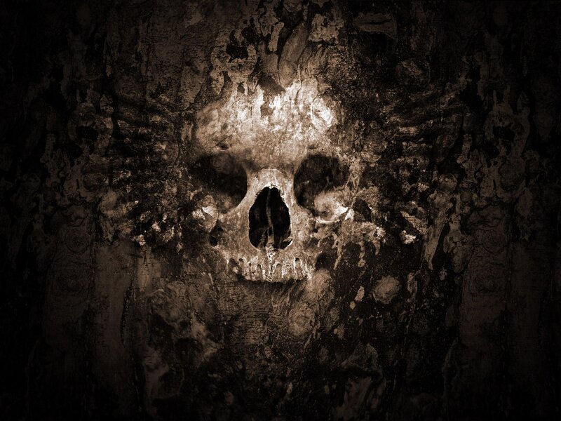 Skull on Textured Wall — Black