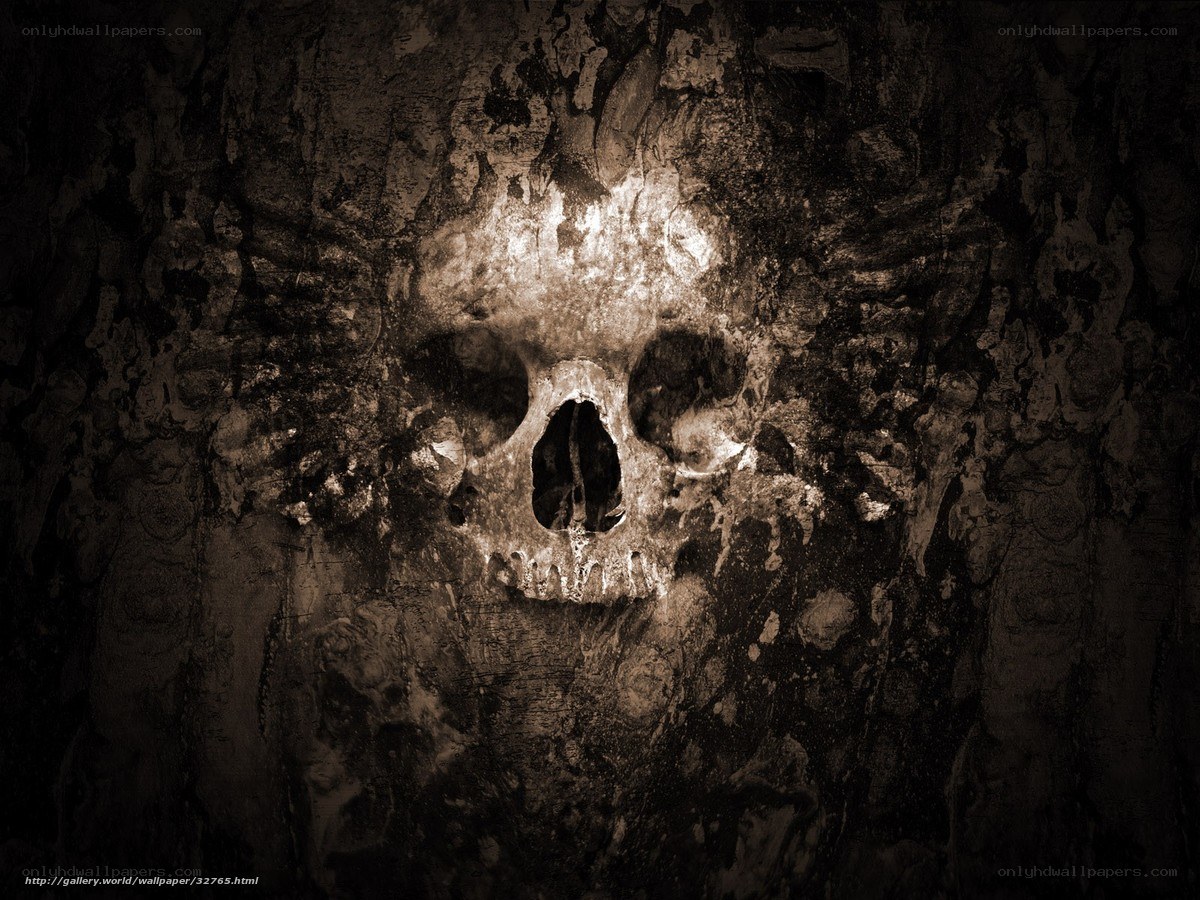 skull on textured wall