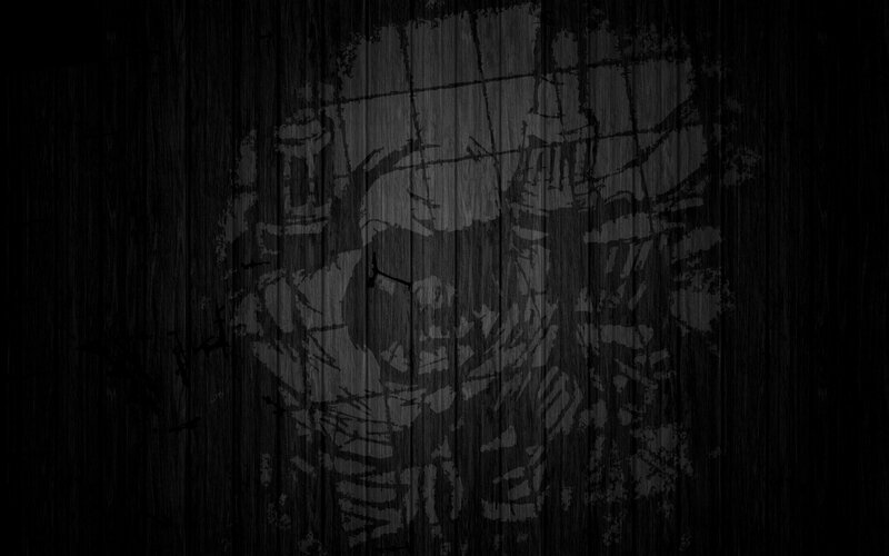 Skull on Wood Texture