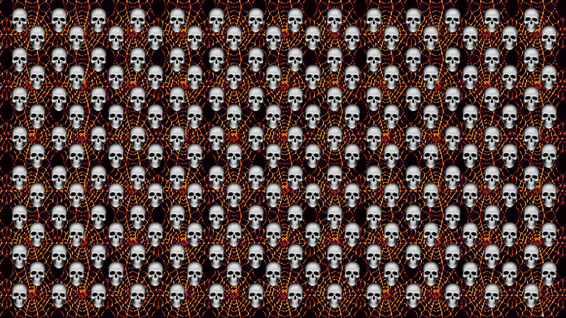 Skull Pattern on Web