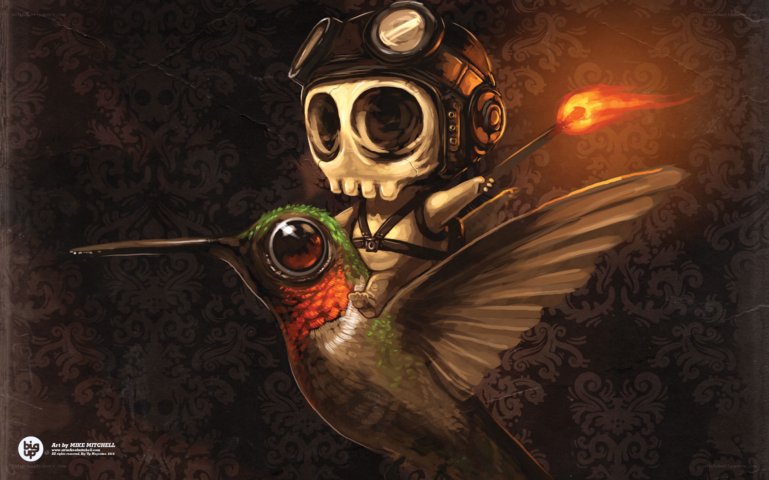 skull pilot on a hummingbird