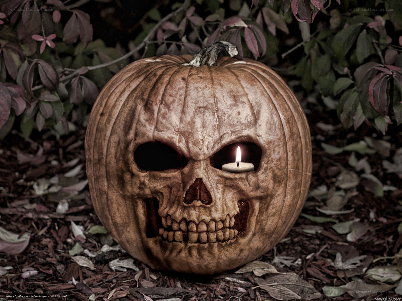 skull pumpkin with candle