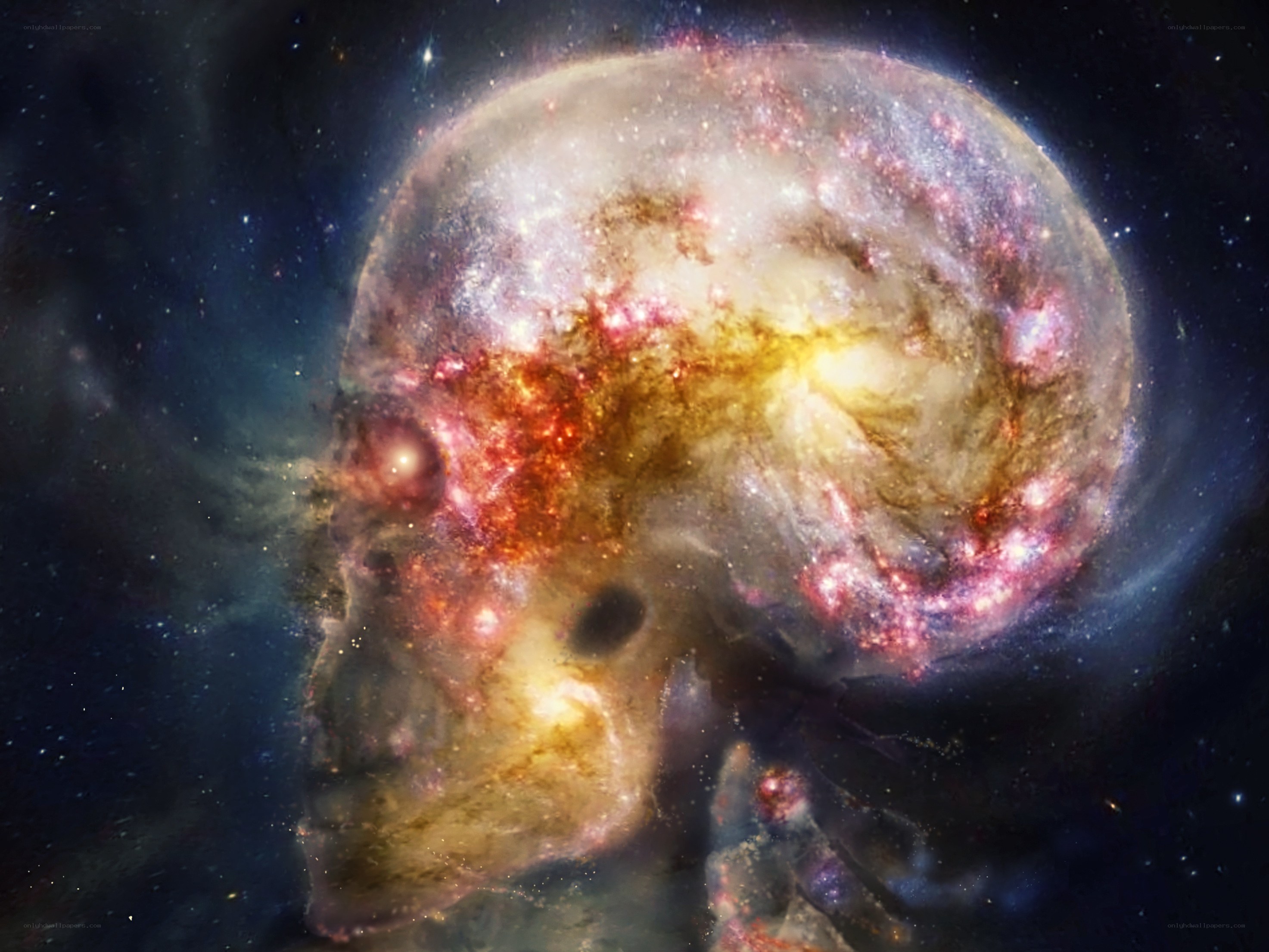 skull-shaped nebula in space