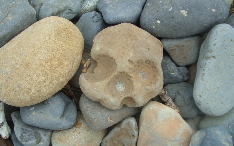 Skull-shaped rock among pebbles