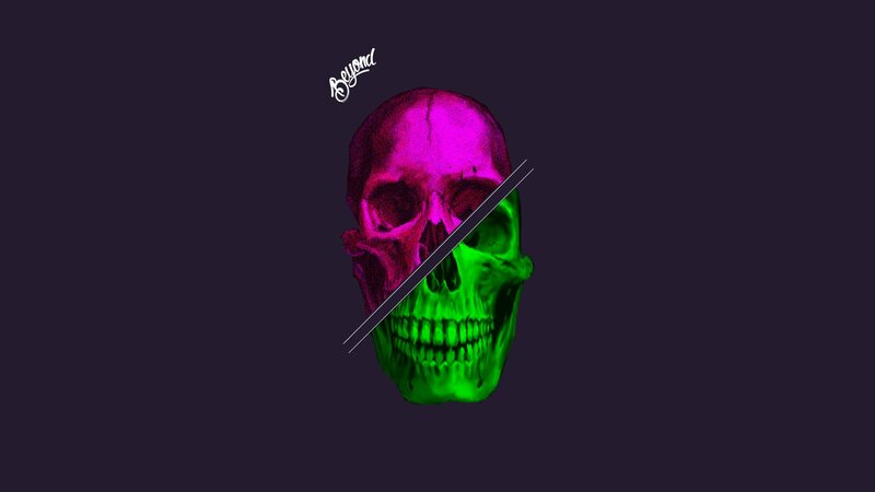 Skull Split into Two Colors