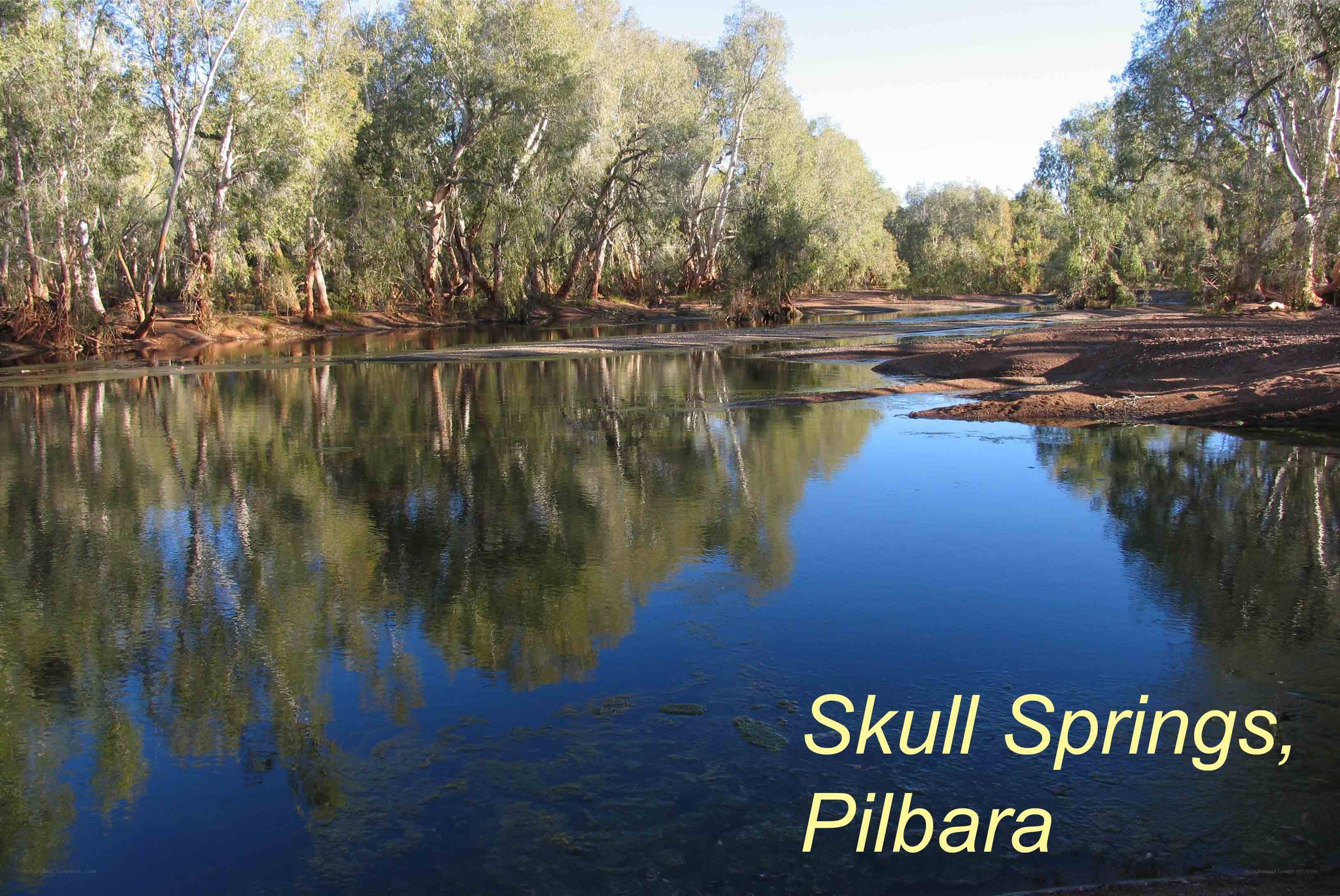 Skull Springs, Pilbara
