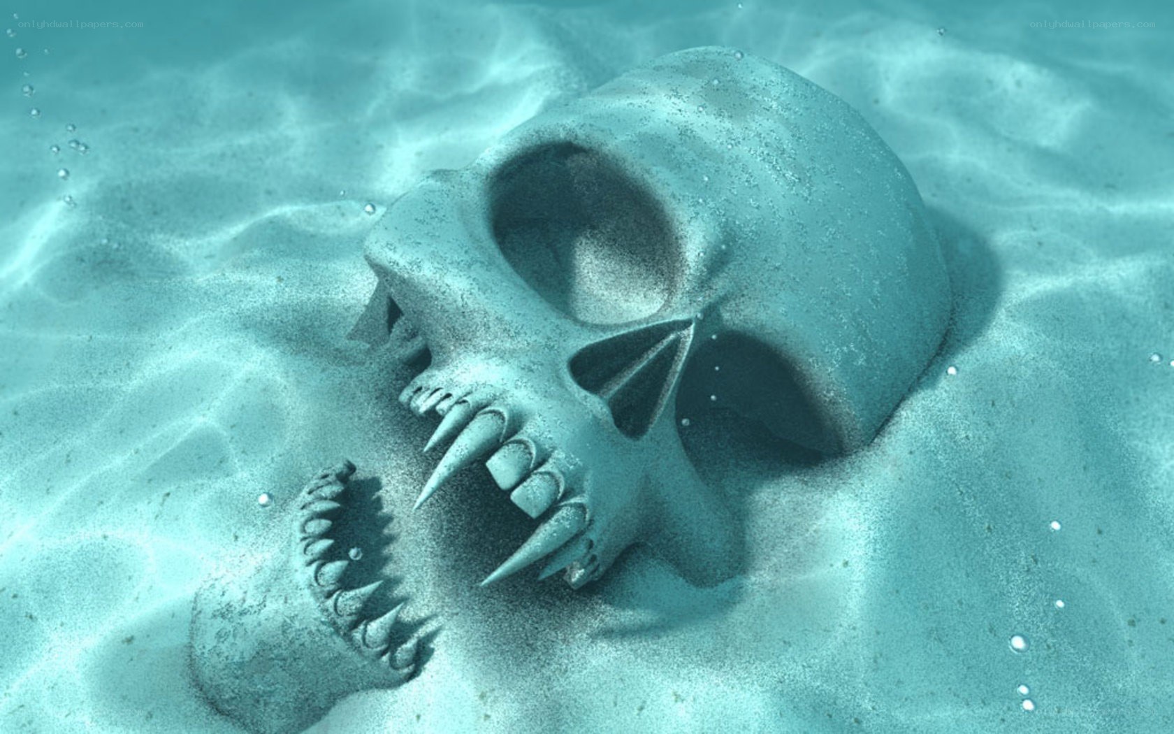 skull underwater on sand