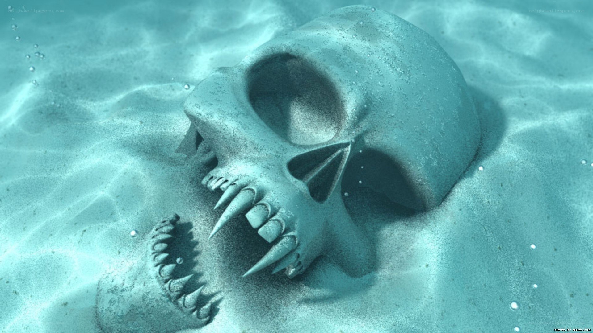 skull underwater on sandy seabed
