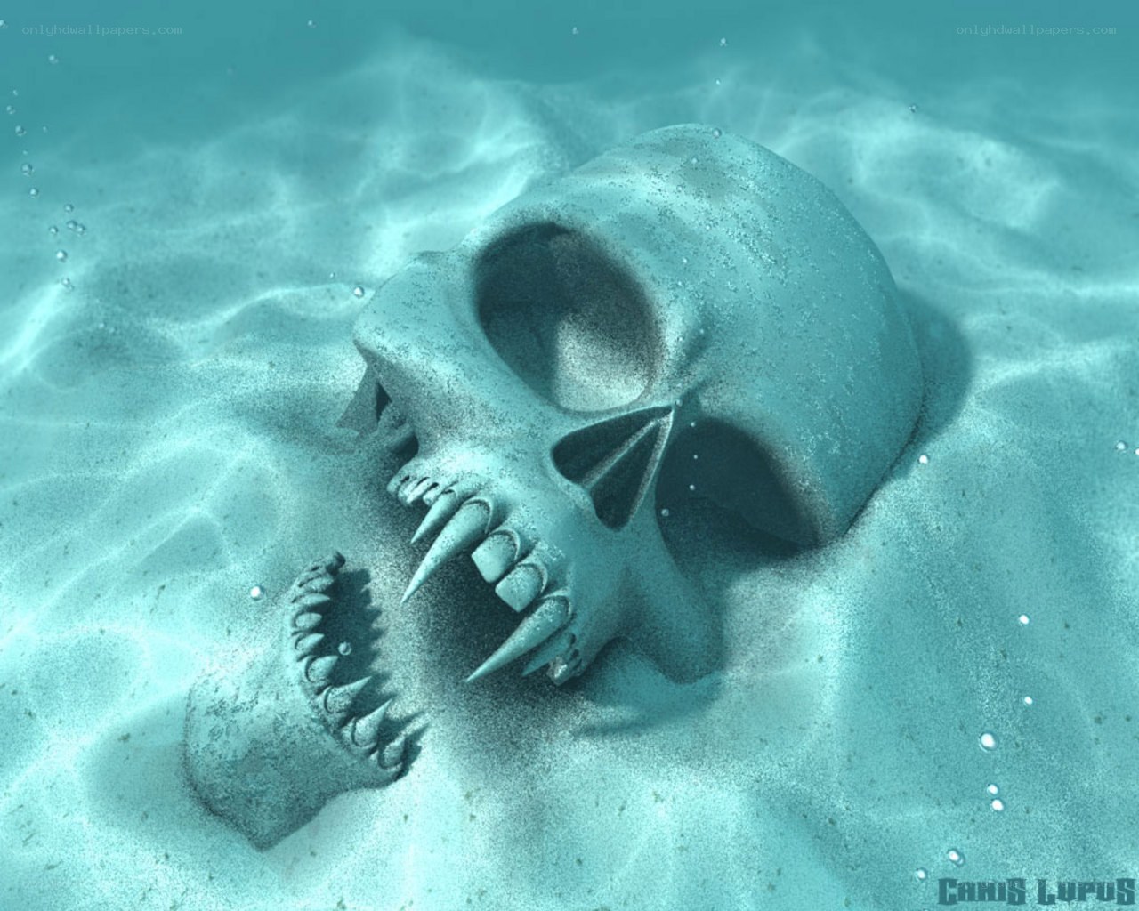 Skull underwater on sandy seabed