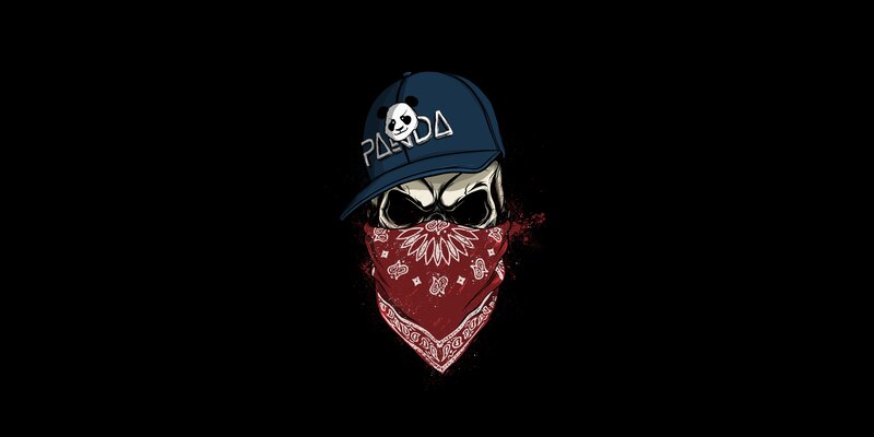 Skull Wearing Bandana
