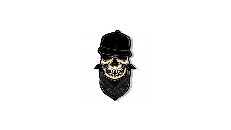 Skull Wearing Cap and Bandana