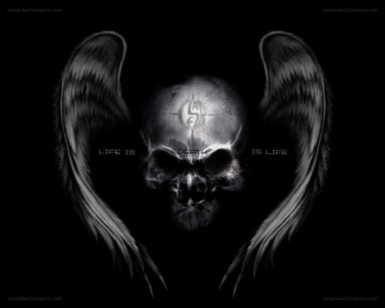 skull with angel wings