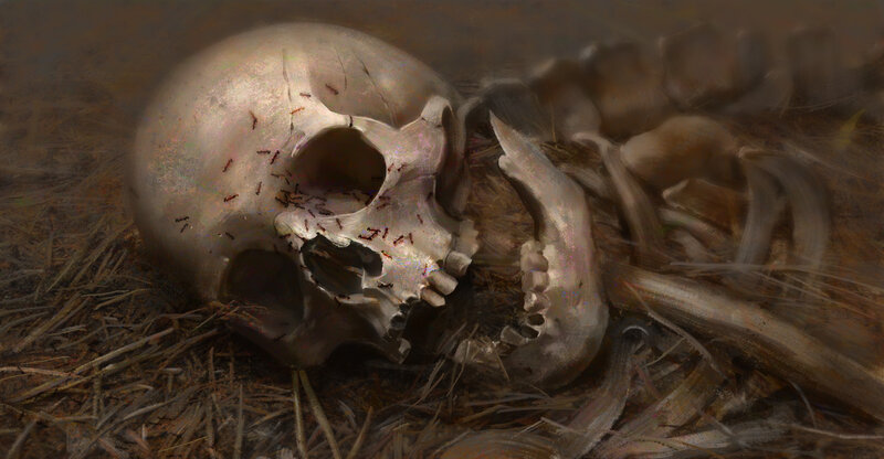 Skull with Ants