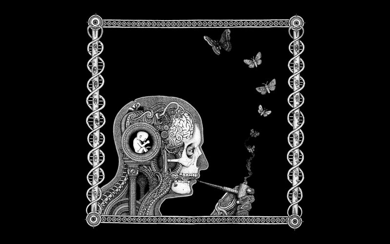 skull with baby and butterflies