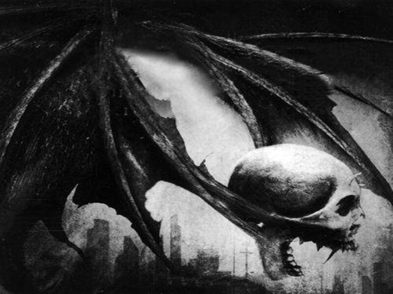 Skull with Bat Wings — Black, Dark, Night
