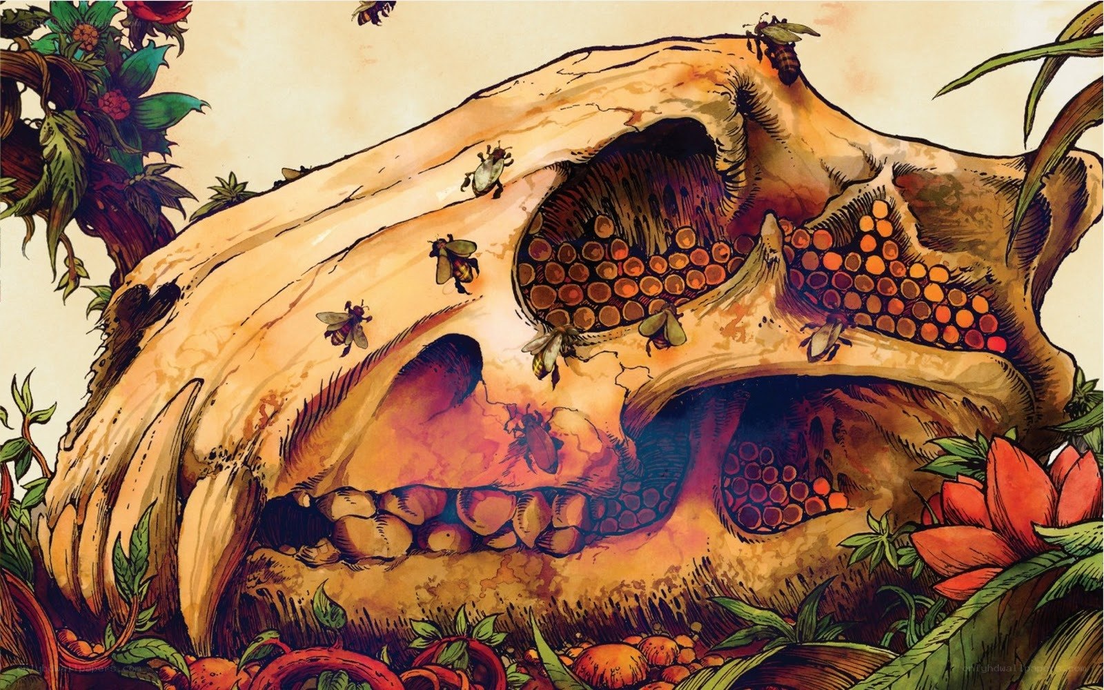 Skull with bees and honeycomb