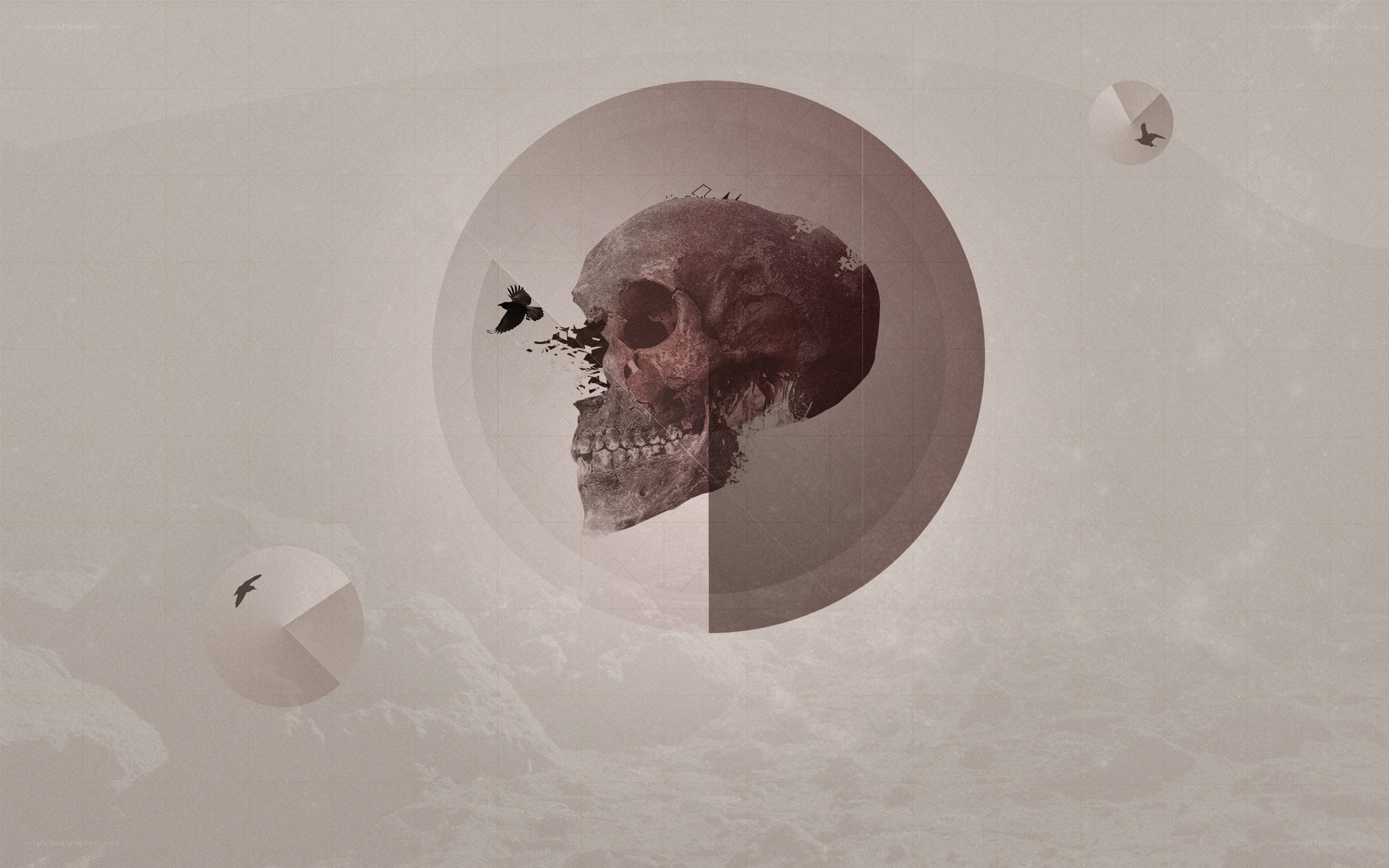 skull with birds in circles