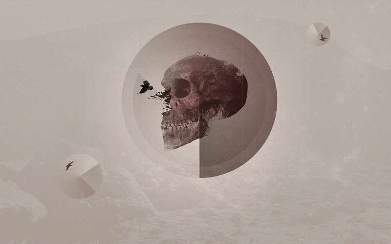 skull with birds in circular frame
